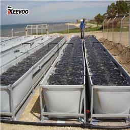 Deunydd Tarpolin PVC ar gyfer Tanc Pysgod